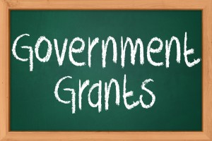 Government Grant For Accounting Software