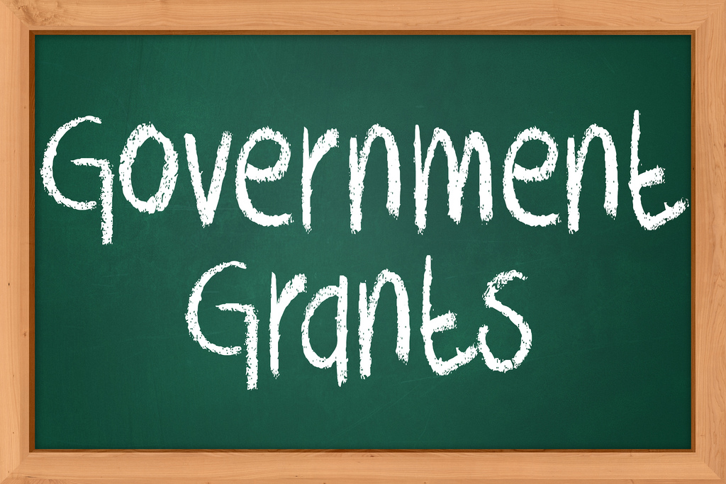 Government Grant Accounting Software Singapore