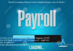 Payroll Accounting Software Used in Multiple Business, How its Works