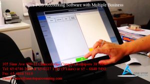 Utilize POS Accounting Software with Multiple Business