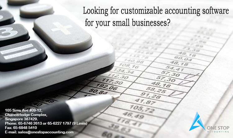 Looking for customizable accounting software for your small businesses?